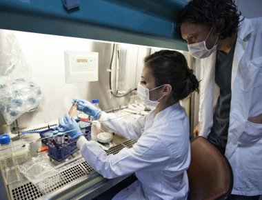 Ρουμανία: Εφτασαν τους 89 οι νεκροί από τη γρίπη